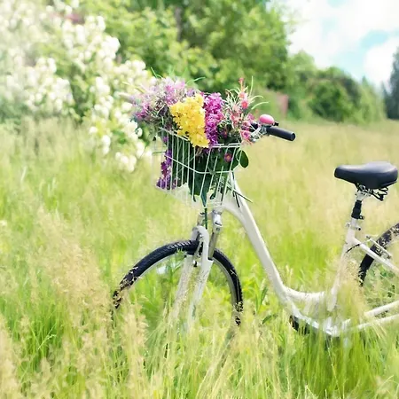 Two-story Homes Close To The Sea *